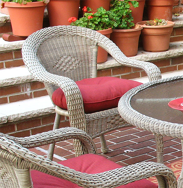 Cane outdoor on sale dining chairs