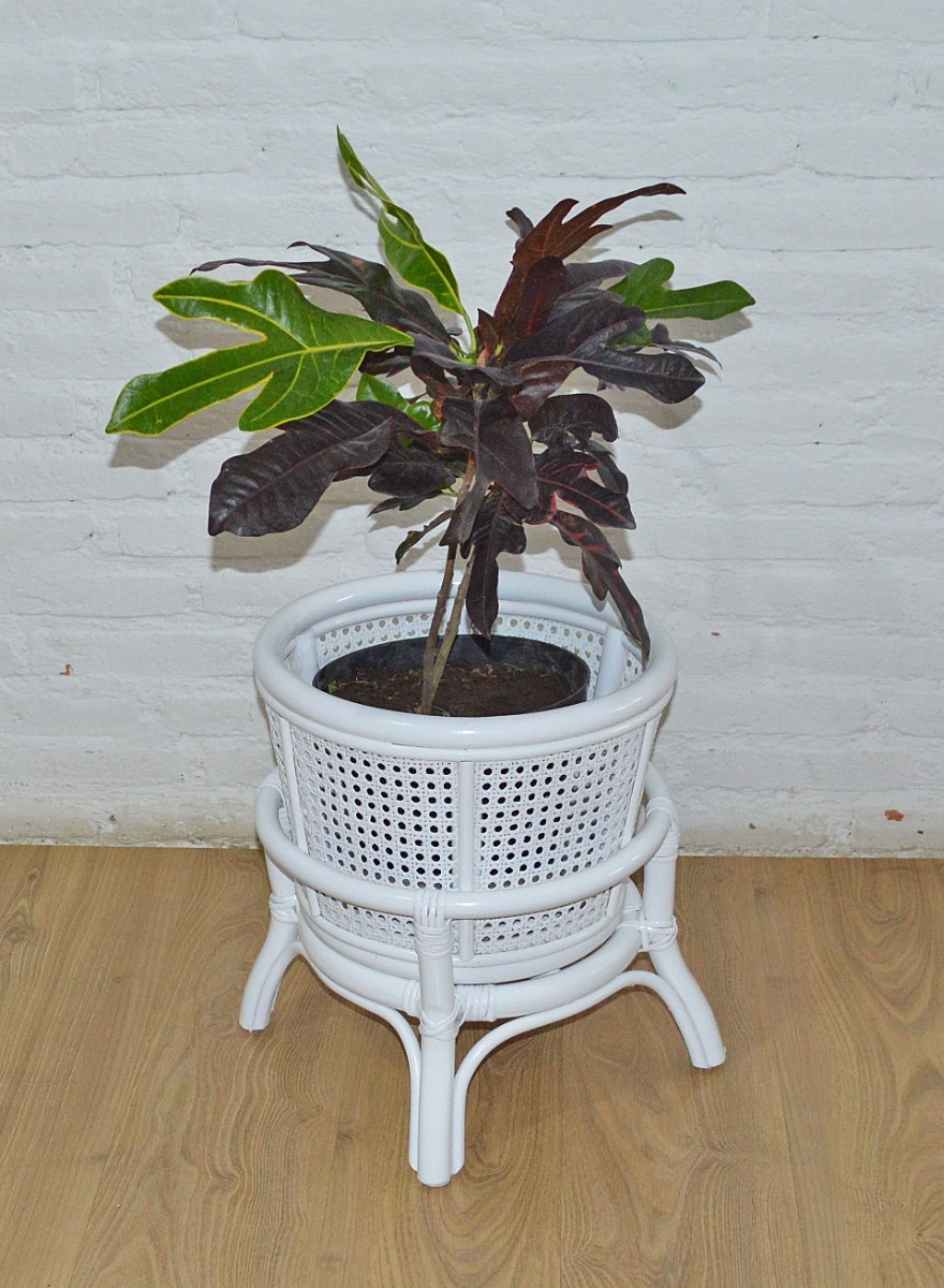 Cane 2-Piece Plant Stand---White
