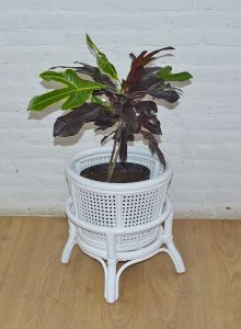 Wicker Plant Stand Small Cane Style