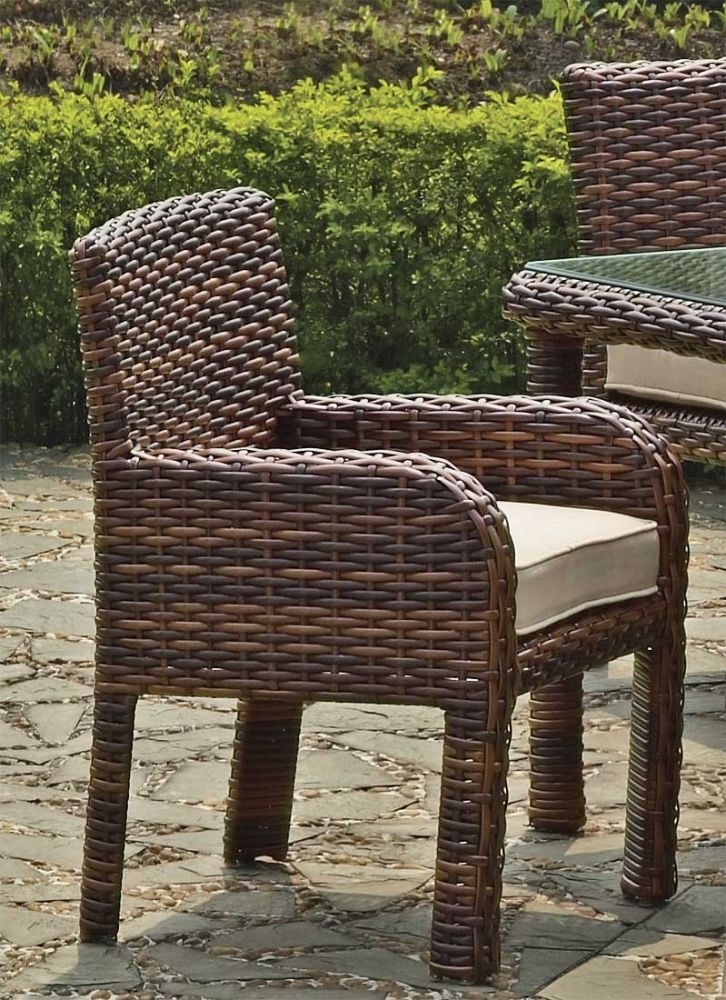 Croix All Weather Outdoor Resin Wicker Dining Arm Chair