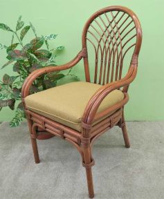 Rattan Dining Chair Savannah with Arms Tea Wash (Min 2)