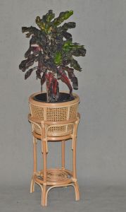 Wicker Plant Stand Natural Color Tall Cane Style