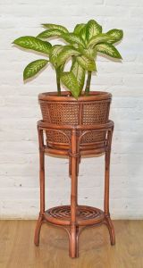 Wicker Plant Stand Tall Cane Style