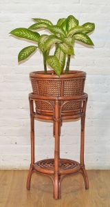 Wicker Plant Stand Teawash Tall Cane Style