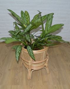 Wicker Plant Stand Small Natural Color Cane Style