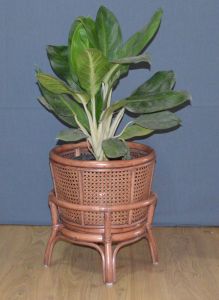 Wicker Plant Stand Small Teawash Brown Cane Style