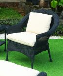 BLACK WITH BEIGE CUSHION