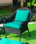 BLACK WITH FOREST GREEN CUSHION