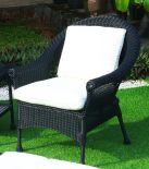 BLACK WITH IVORY CUSHION