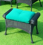 BLACK WITH FOREST GREEN CUSHION